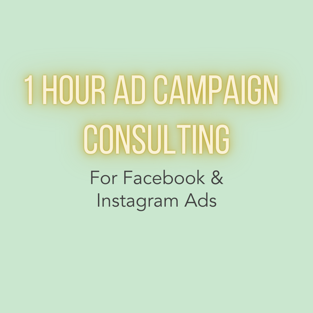 1 Hour Consulting For Your Facebook &amp; Instagram Ad Campaign