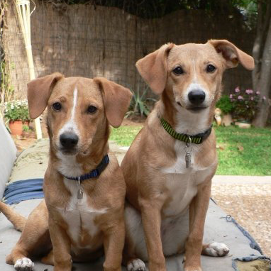 
          
            My favorite audience tool in Facebook
          
        