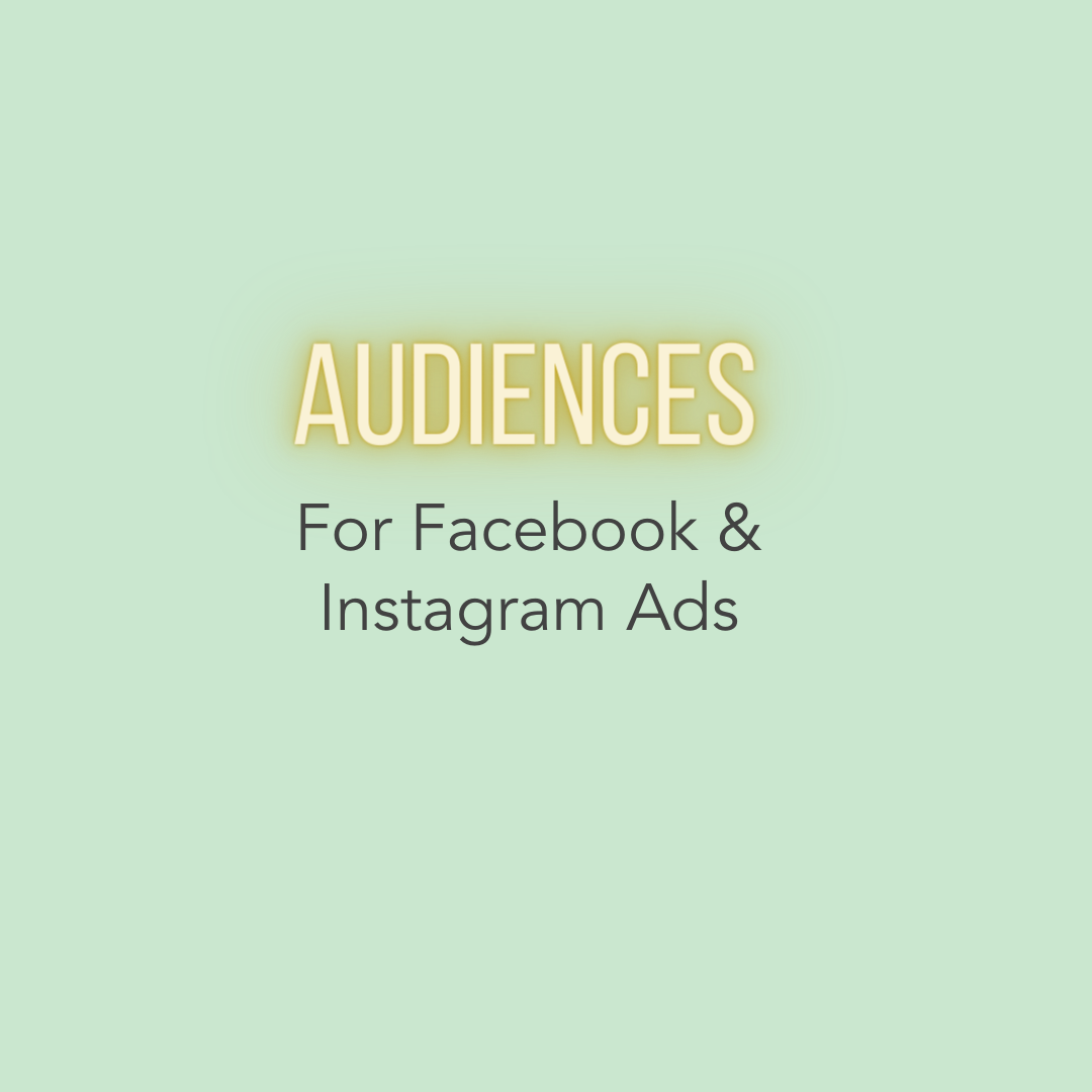 Audiences For Facebook &amp; Instagram Ad Campaign